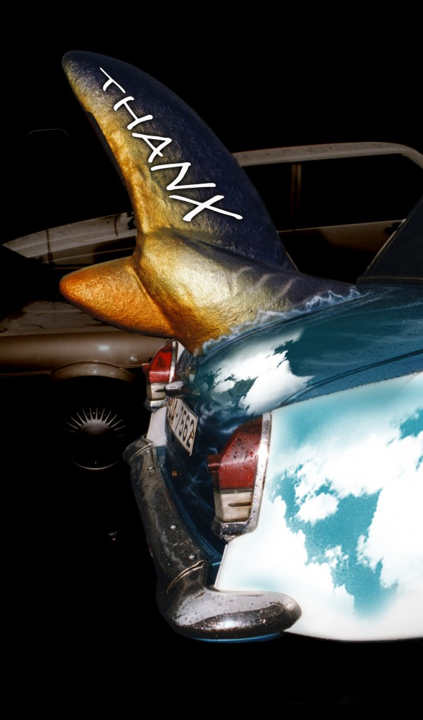 whale penis whale penis