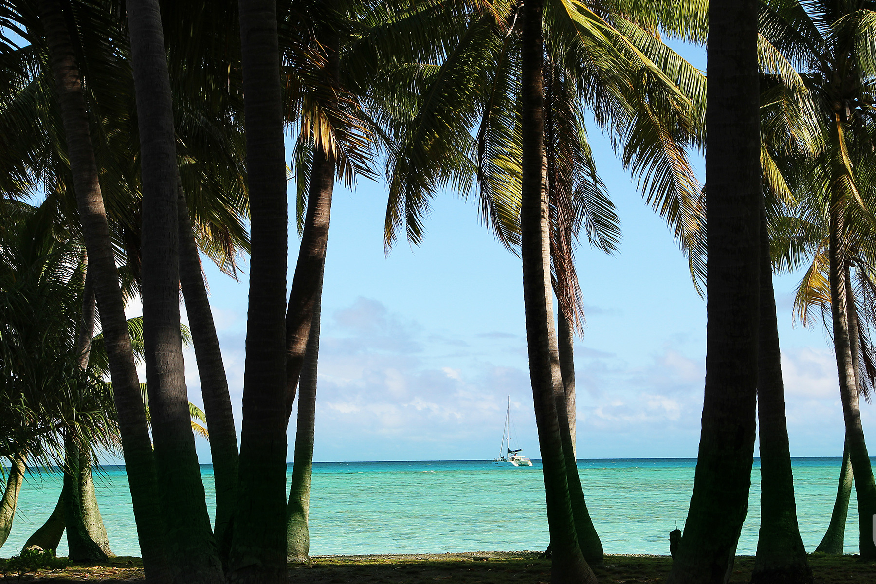 Why is French Polynesian property the real estate of the hour in 2019?