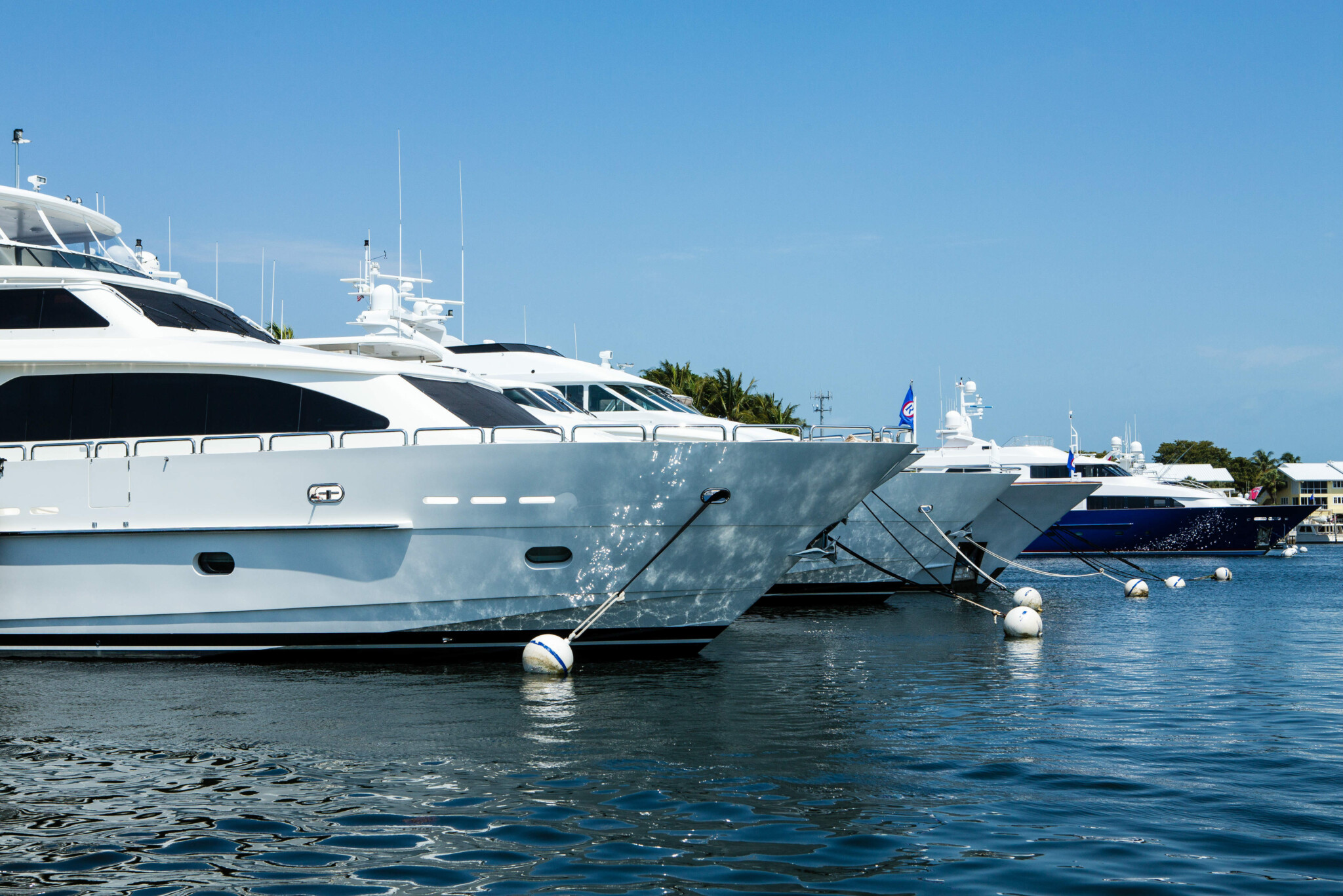 New opportunities to join the club are putting this community within