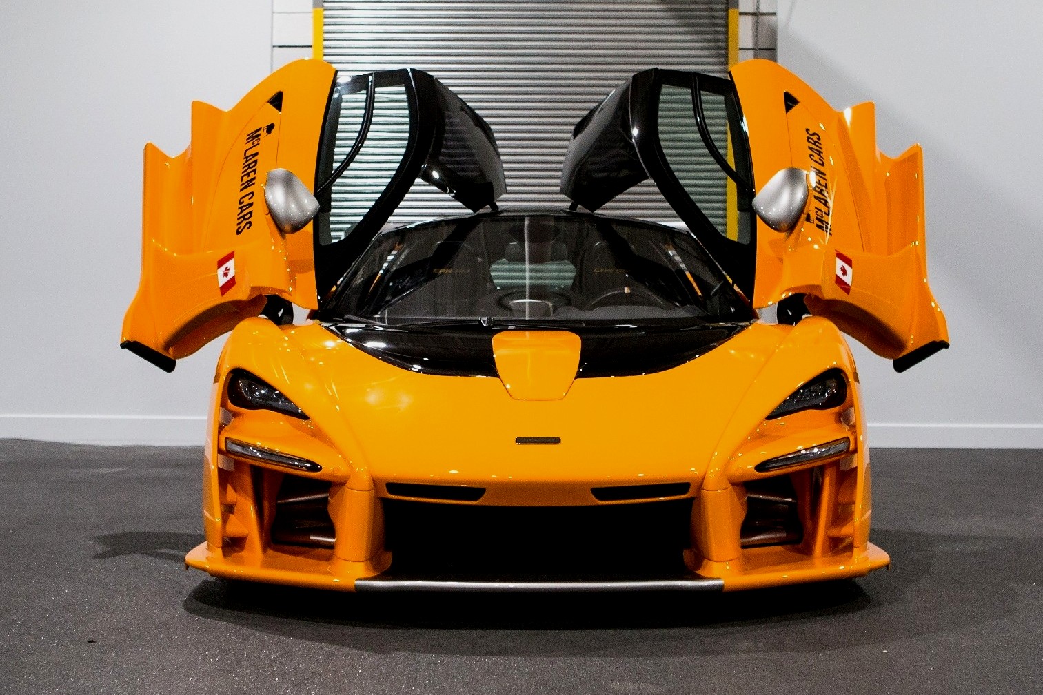 Mclaren Senna Can Am 650c, price