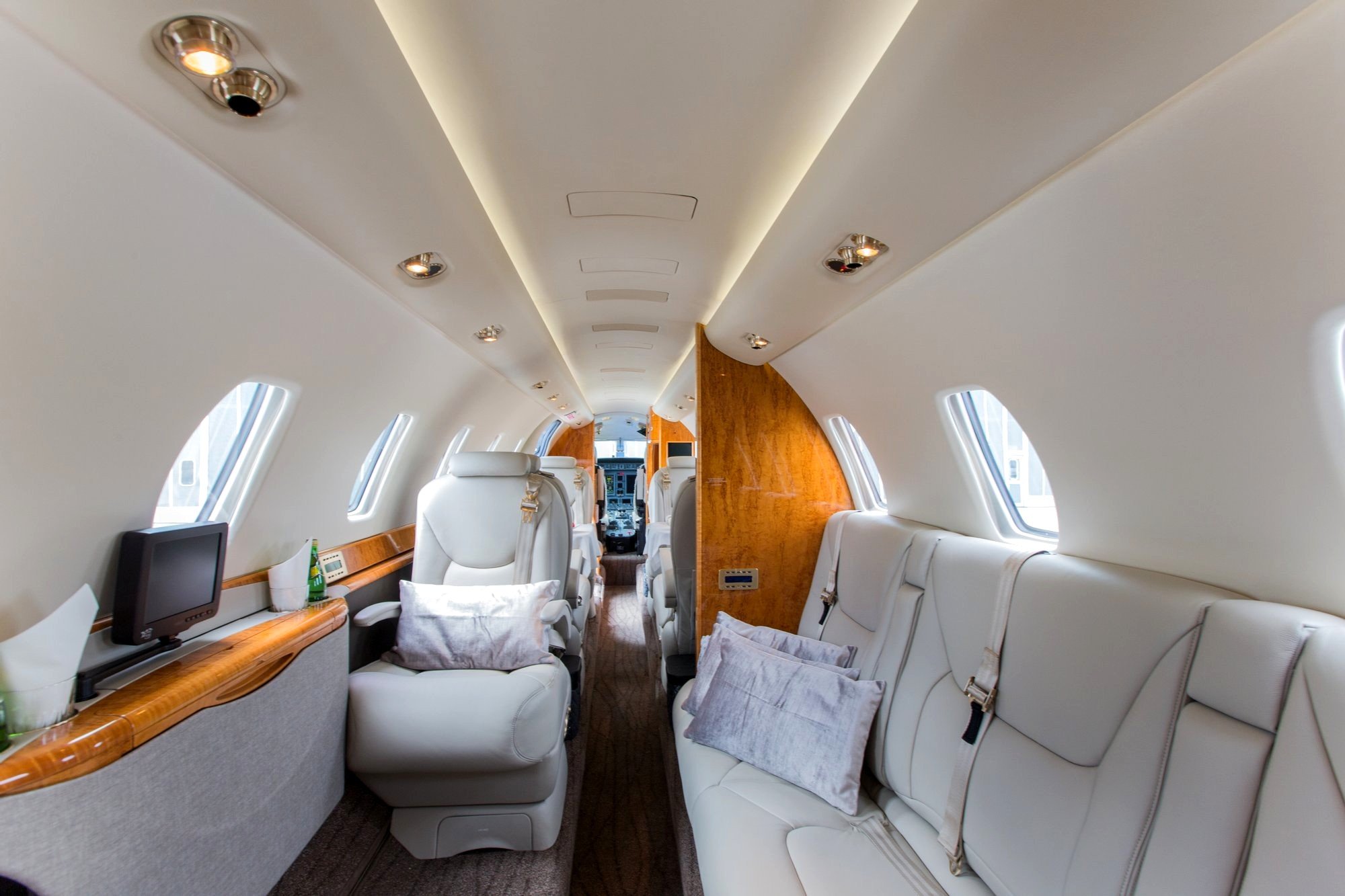 billionaire's private Airbus jet with bedroom and bathroom