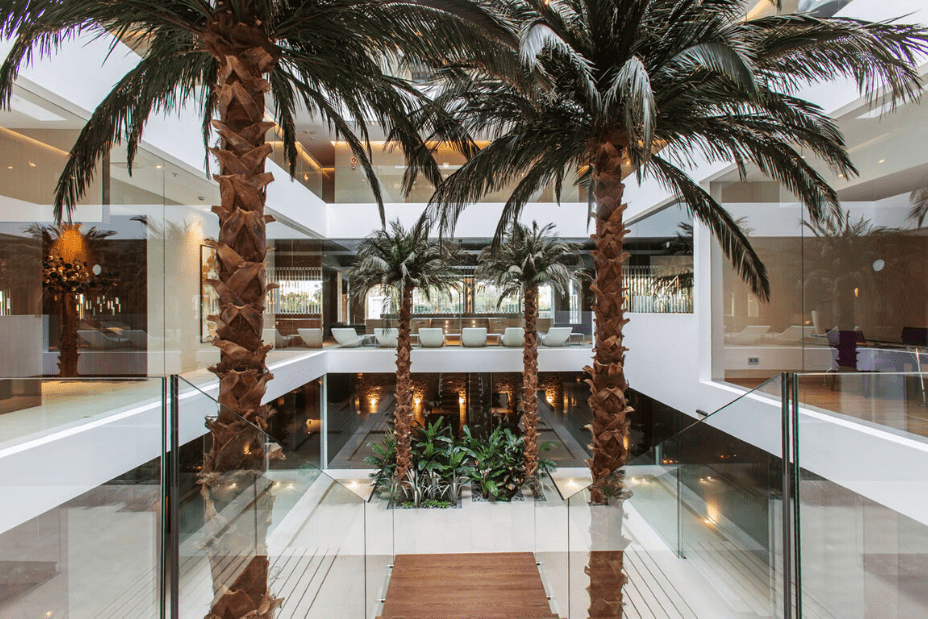 oasis