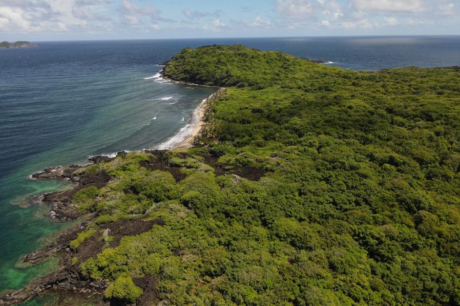 Private Island is Up for Sale in an Ultra-luxurious Spot of the Grenadines Archipelago