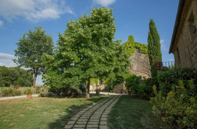 Tuscany (3)
