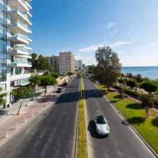 Pafilia Penthouse at One-8