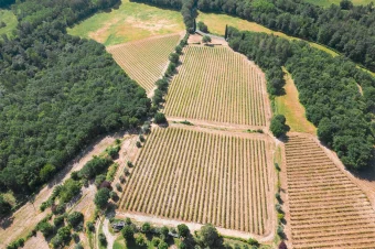 Chianti Classico Villa (6)