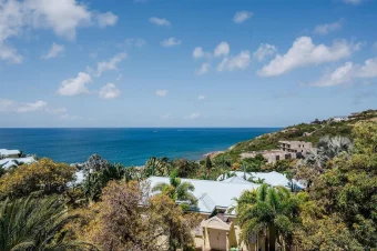 Market Trends – Caribbean (2)