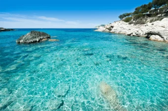 Superfin Spain (11)