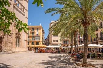 Superfin Spain (13)