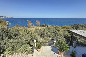 Temino Premium Properties (1)