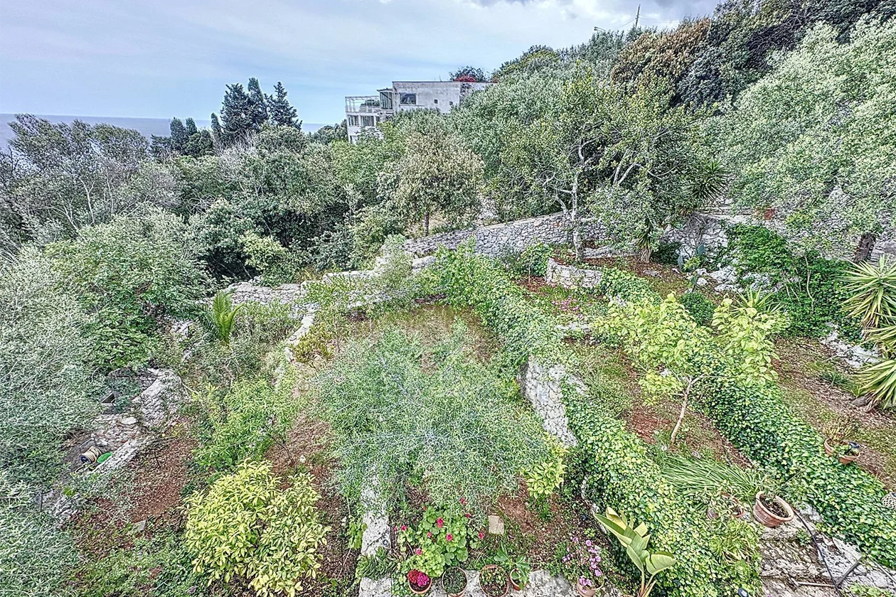 Temino Premium Properties (5)