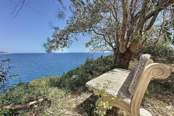 Temino Premium Properties (6)