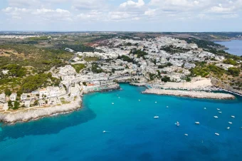 Temino Premium Properties (7)