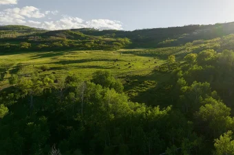 Mirr ranch (11)