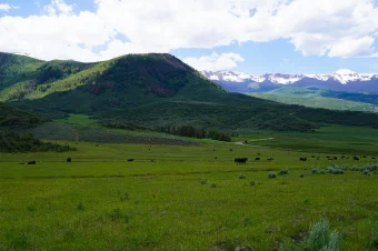 Mirr ranch (3)