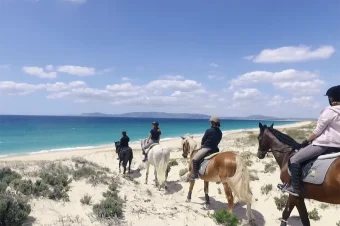 Comporta (11)