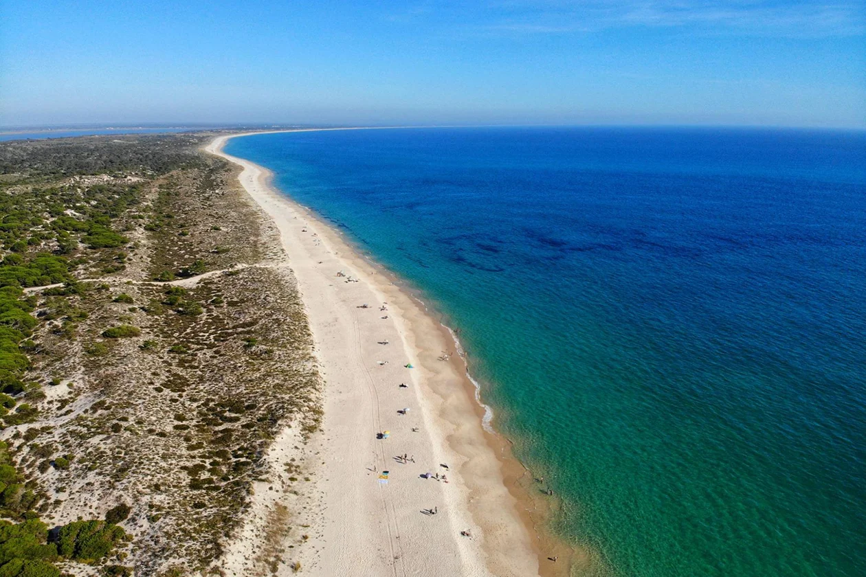 Comporta (13)