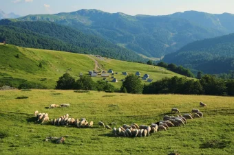 Kolasin (6)