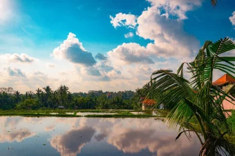 Pt. The Bali Portfolio (16)