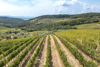 Appoloni (11)