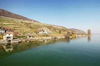 Bauzet (8)