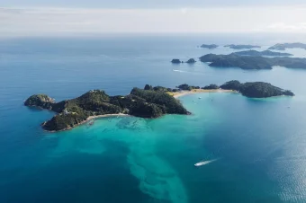 SkyAd NZ (10)