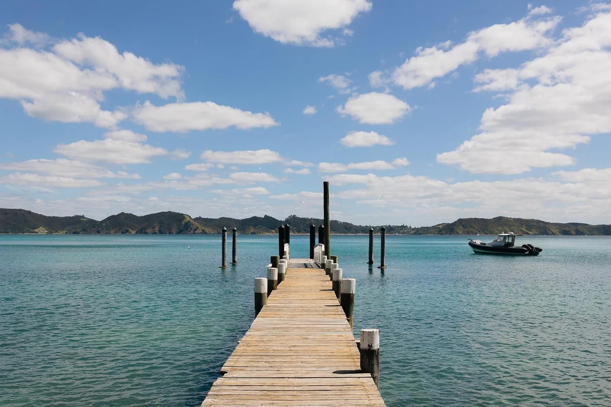 SkyAd NZ (6)