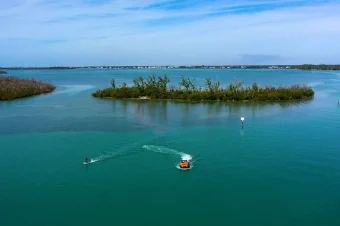 H2O Cars (4)