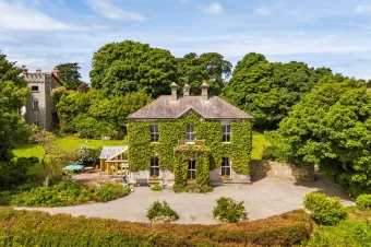 Irish castles (4)