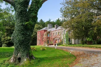 Irish castles (5)