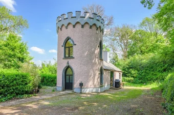 Irish castles (8)