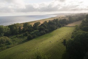image12