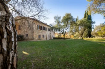 Apolloni (9)