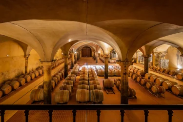 This Landmark Organic Vineyard Estate Hits the Market at €11 Million in Chianti Classico, Tuscany