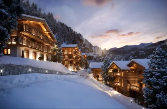FGP Swiss & Alps (Comptoir Immobilier) (1)