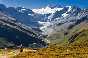 FGP Swiss & Alps (Comptoir Immobilier) (8)