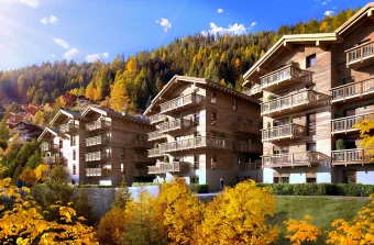 FGP Swiss & Alps (Comptoir Immobilier) (9)