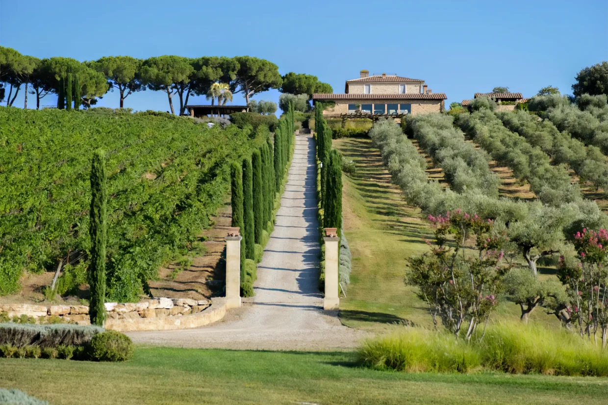 Maremma Estate: Historic Tuscan Sanctuary with Premium Wine Production and Equestrian Excellence