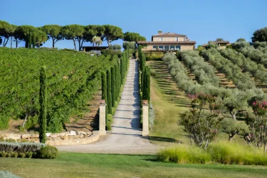 Maremma Estate: Historic Tuscan Sanctuary with Premium Wine Production and Equestrian Excellence