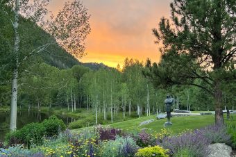 aspen6