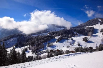 Pure International_3