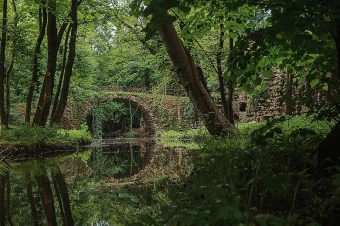 Schloss Schonau_6