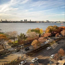 Douglas Elliman_10