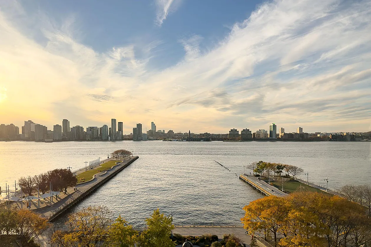Douglas Elliman_9