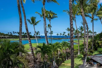 Hale Ohi’a_1