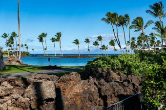 Hale Ohi’a_9