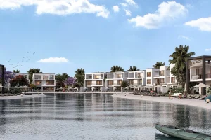 Hamptons International_2