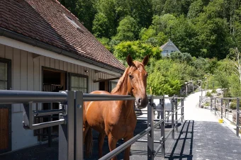 Journal Article – immobilien_6